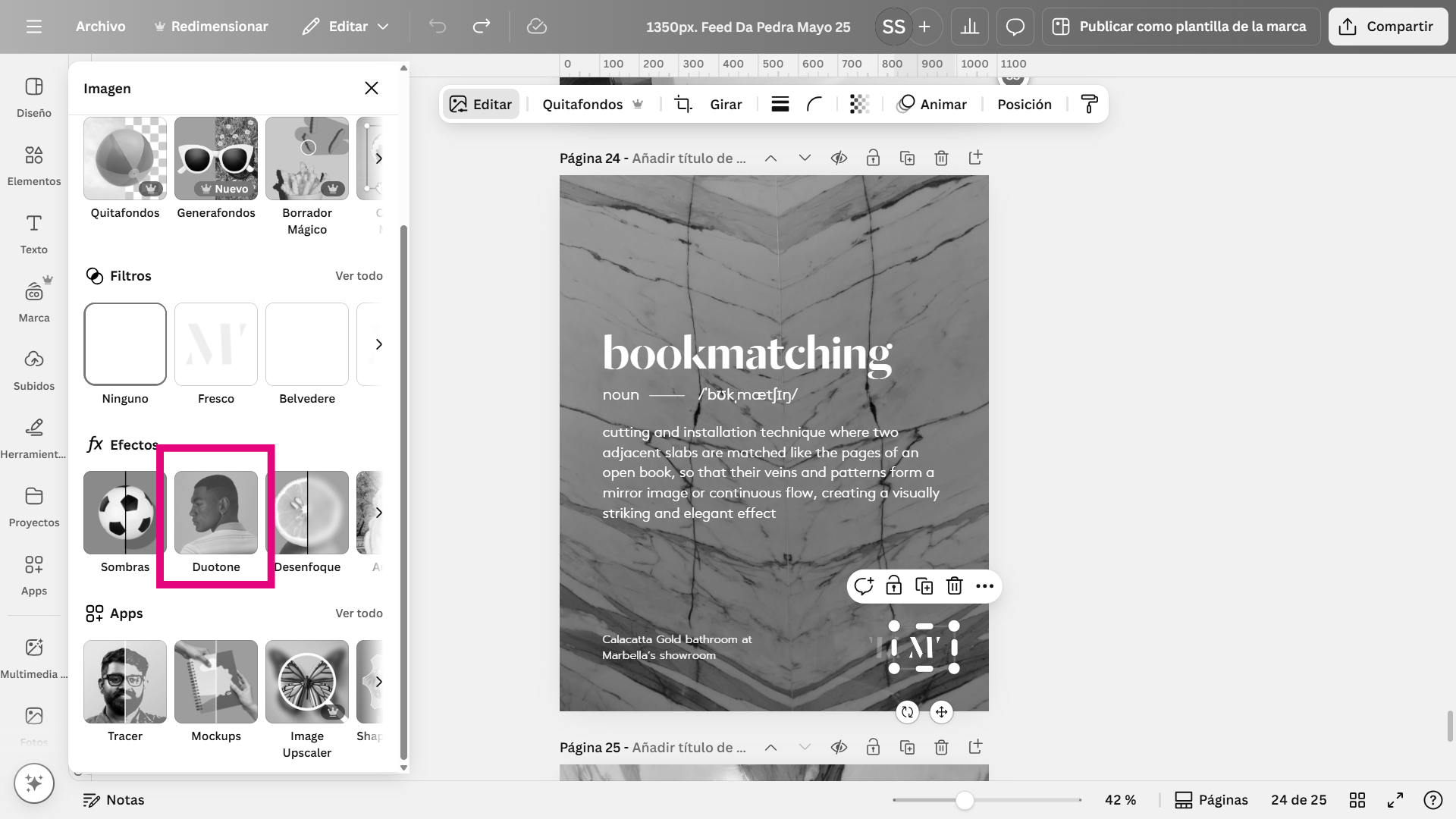 Captura de pantalla donde se remarca la función Duotone de Canva en un trabajo de diseño gráfico en Marbella